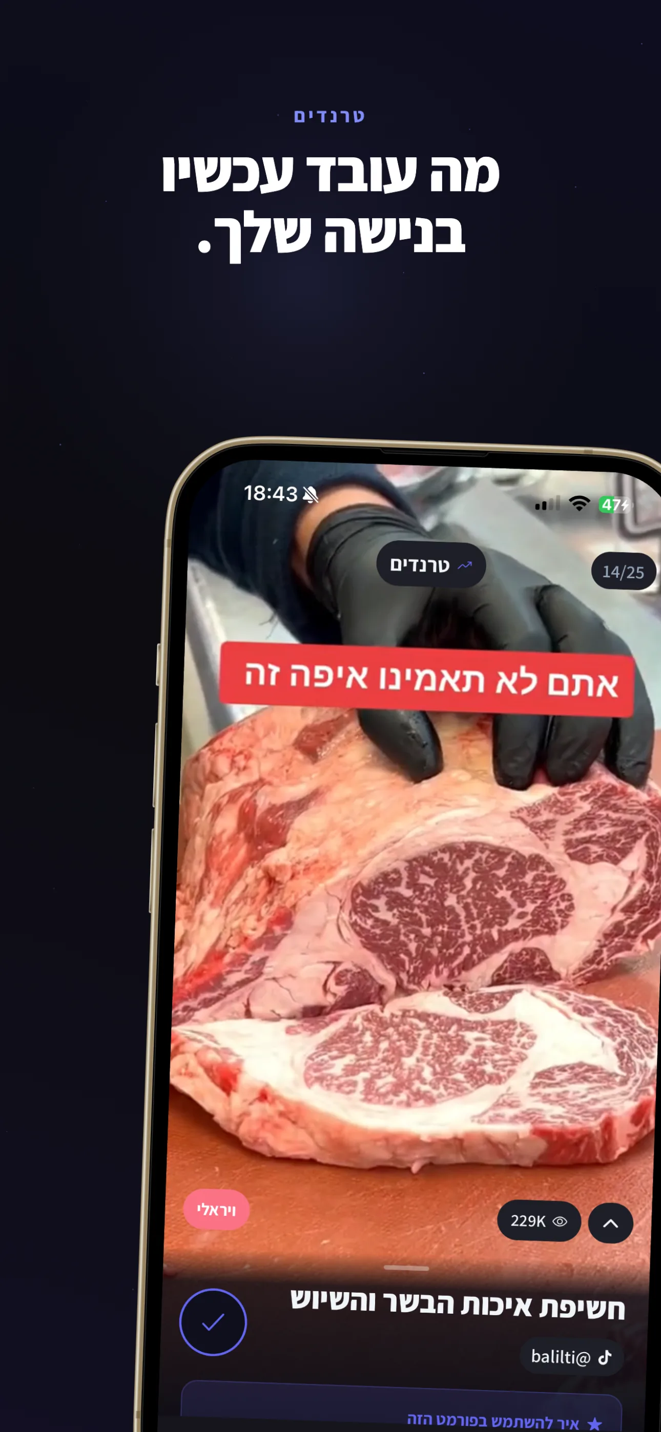 תמיד על גל הטרנד